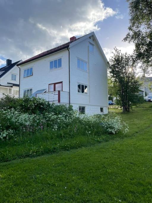 The Aurora Garden - 1Bedroom Apartment - Walking Distance From City Center Tromsø Exterior foto