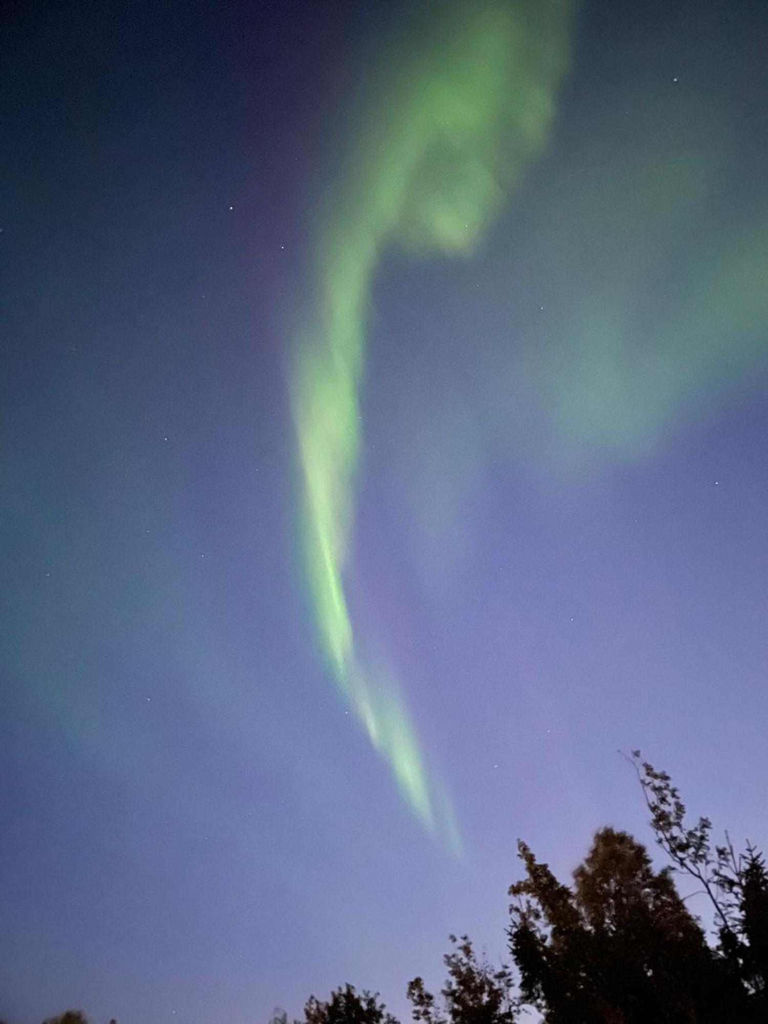 The Aurora Garden - 1Bedroom Apartment - Walking Distance From City Center Tromsø Exterior foto
