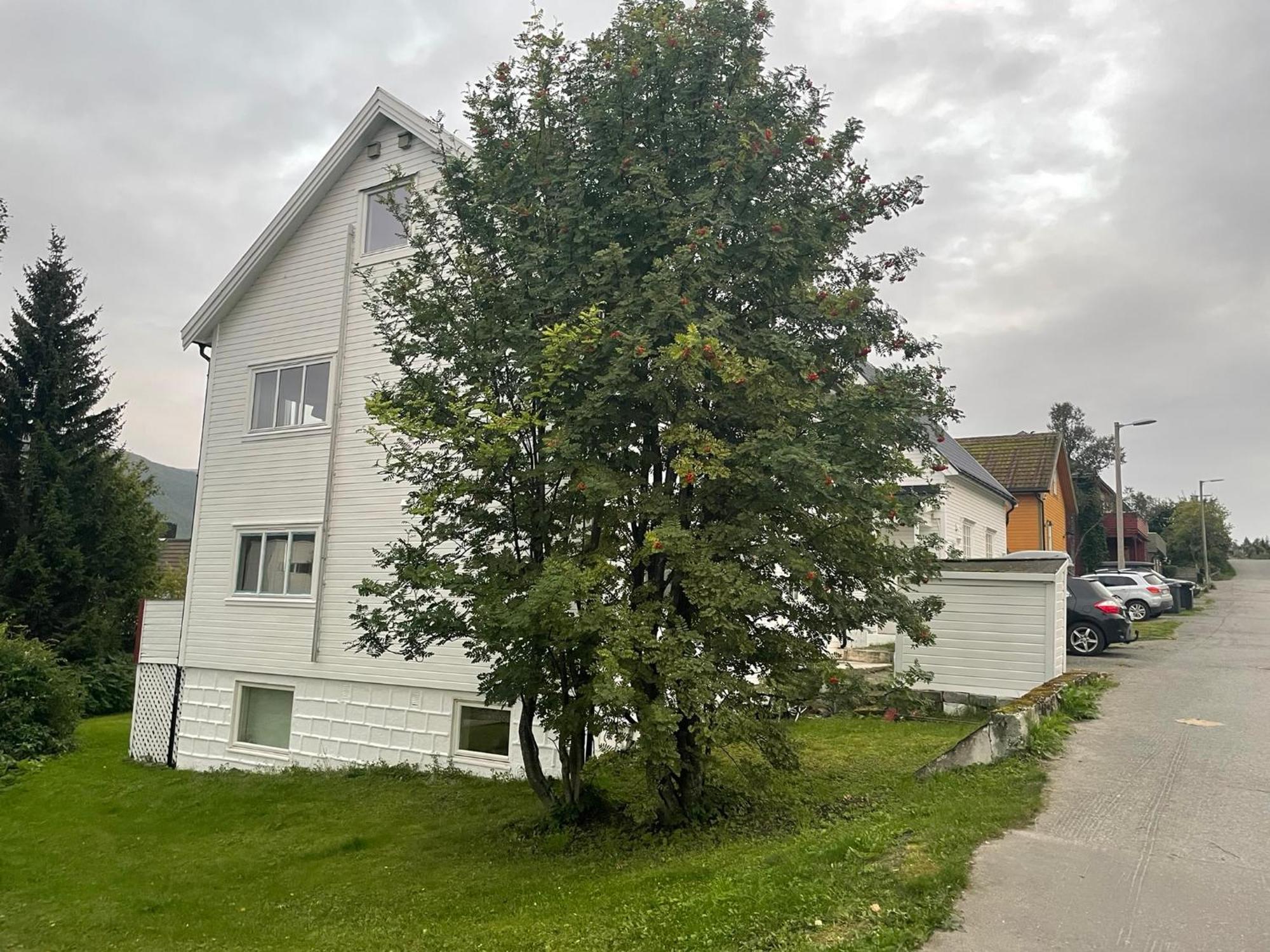 The Aurora Garden - 1Bedroom Apartment - Walking Distance From City Center Tromsø Exterior foto
